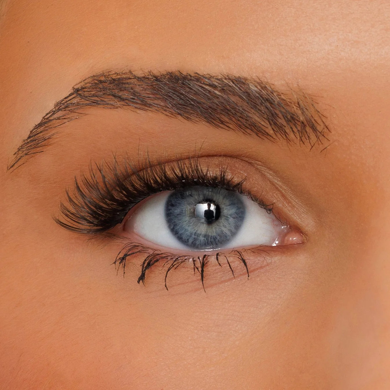 Press-on Performance Lash Strips
